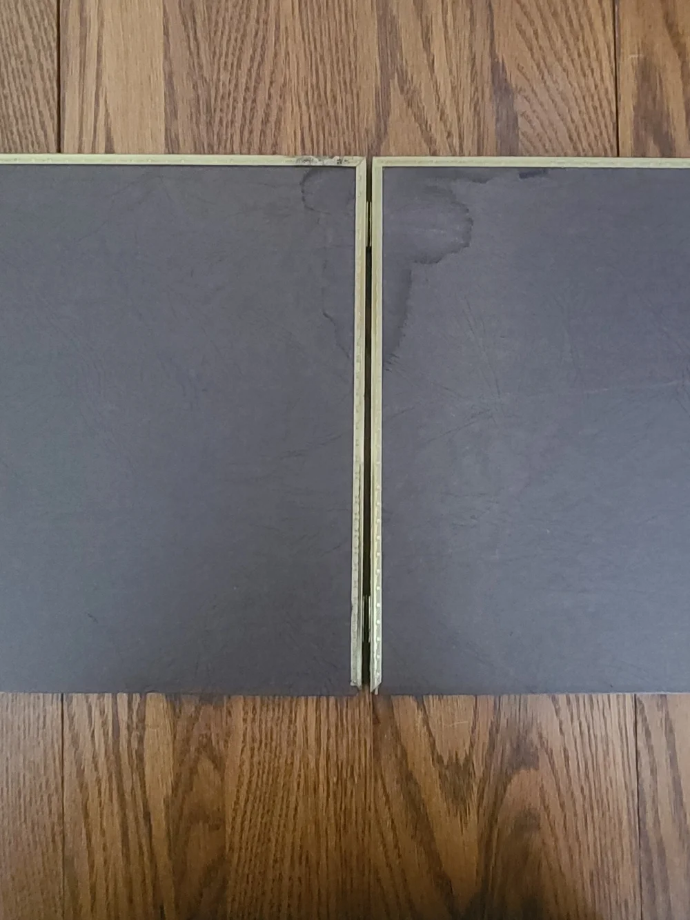 Metalcraft Vintage Hinged Picture Frame Duo
